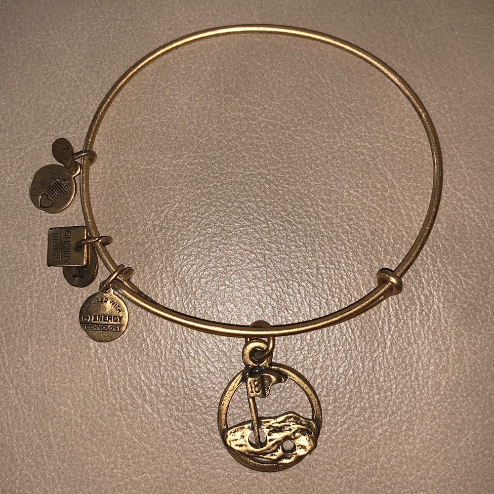 Gold Alex and Ani gold charm bracelet